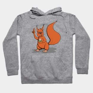 Squirrel Hoodie